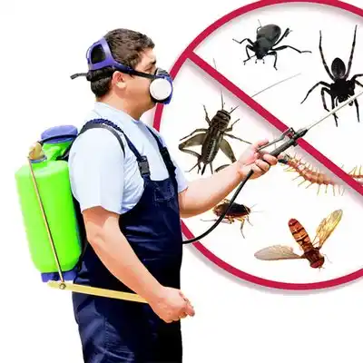 pest control Oak Island